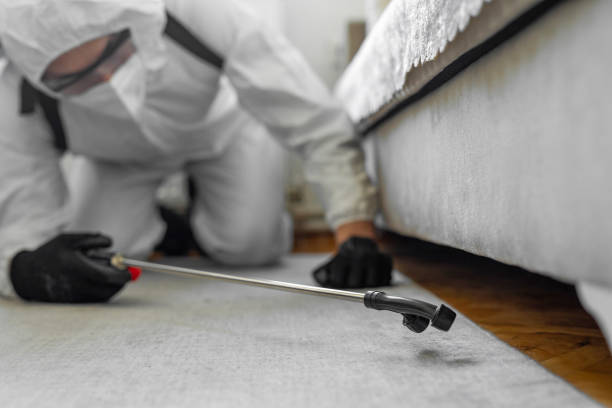 Professional Termite Control technician working in Huntley, IL