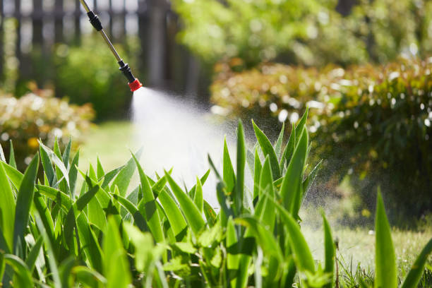 24/7 Emergency Termite Control experts in Huntley, IL